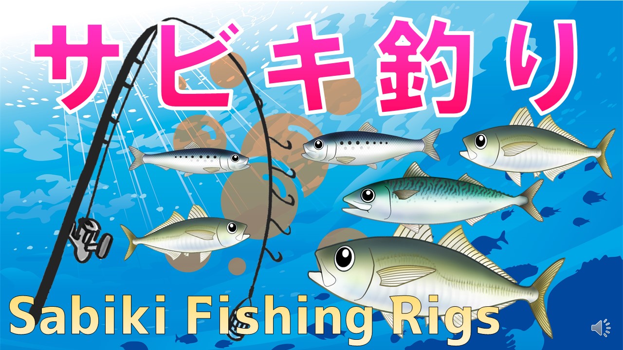 サビキ釣りsabiki ファミリーフィッシング初心者釣り入門仕掛けとおすすめアイテムsabiki Fishing Rigs 釣りって 学べる の教科書